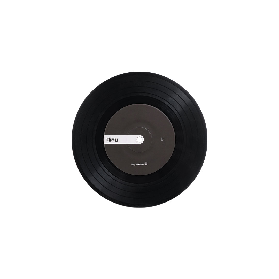 Henley Audio | Algoriddim djay Control Vinyl 12